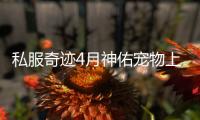 私服奇迹4月神佑宠物上线助你战力飙升